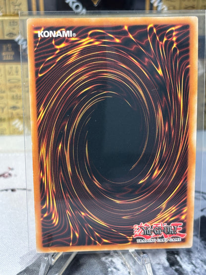 Scarlight Red Dragon Archfiend back view