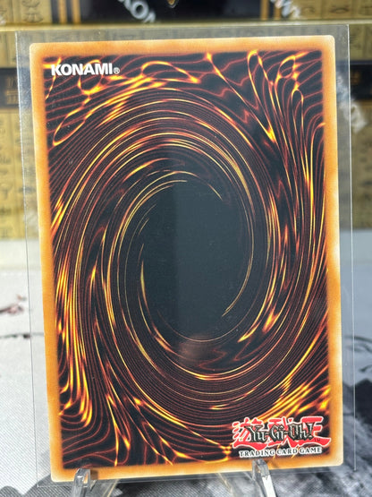 Door of Destiny back view