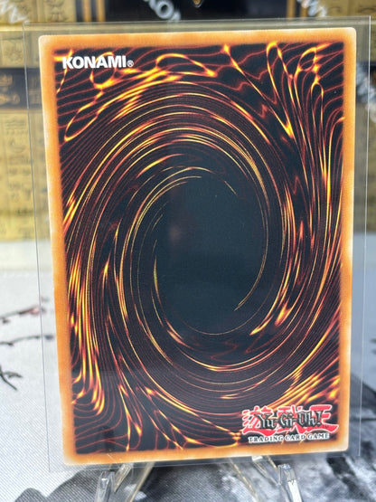 Armageddon Knight back view