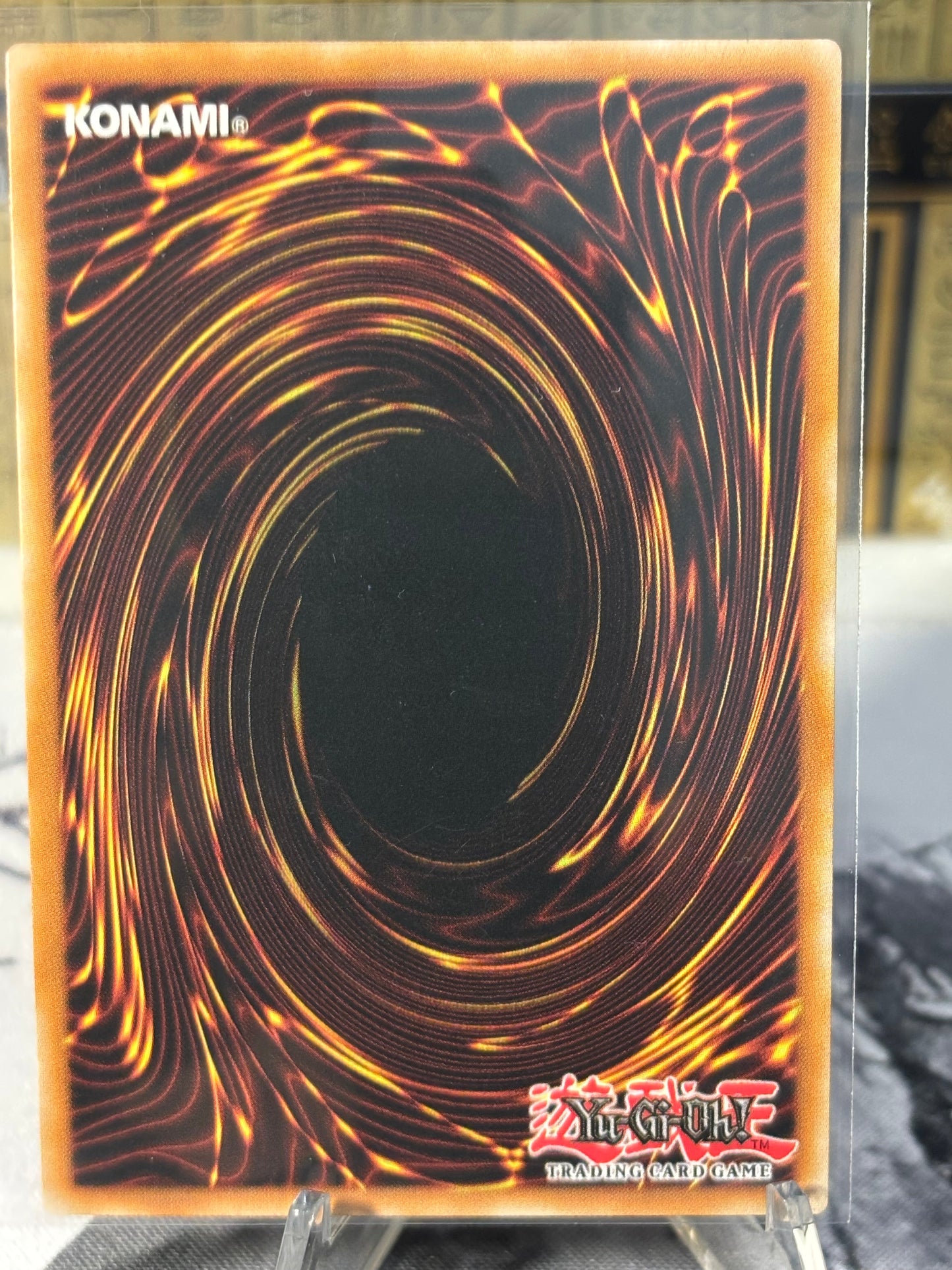 Snipe Hunter back view