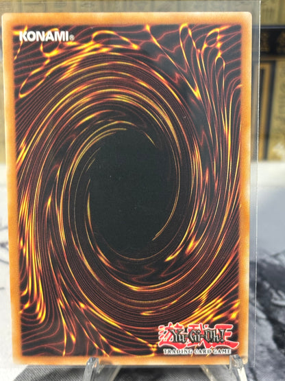 Snipe Hunter back view