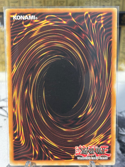 Tristan, Khignt of the Underworld back view