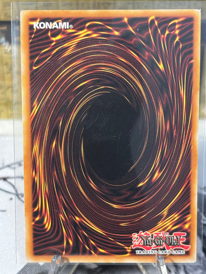 Eclipse Wyvern back view