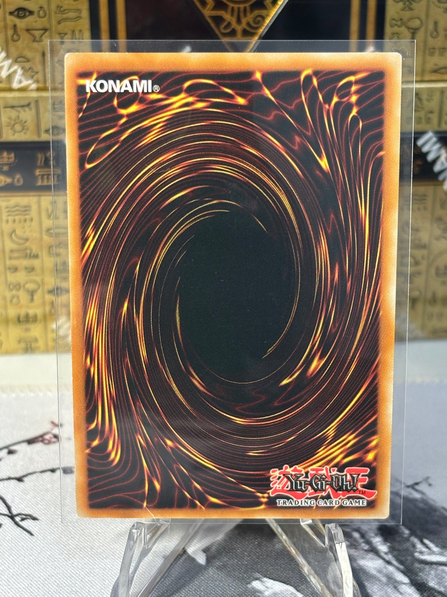 Albion the Branded Dragon back view