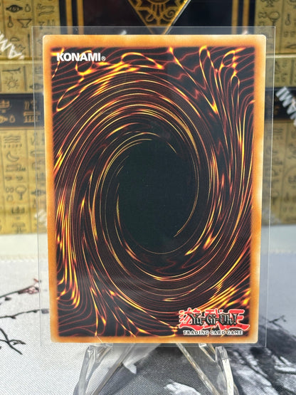 Albion the Branded Dragon back view