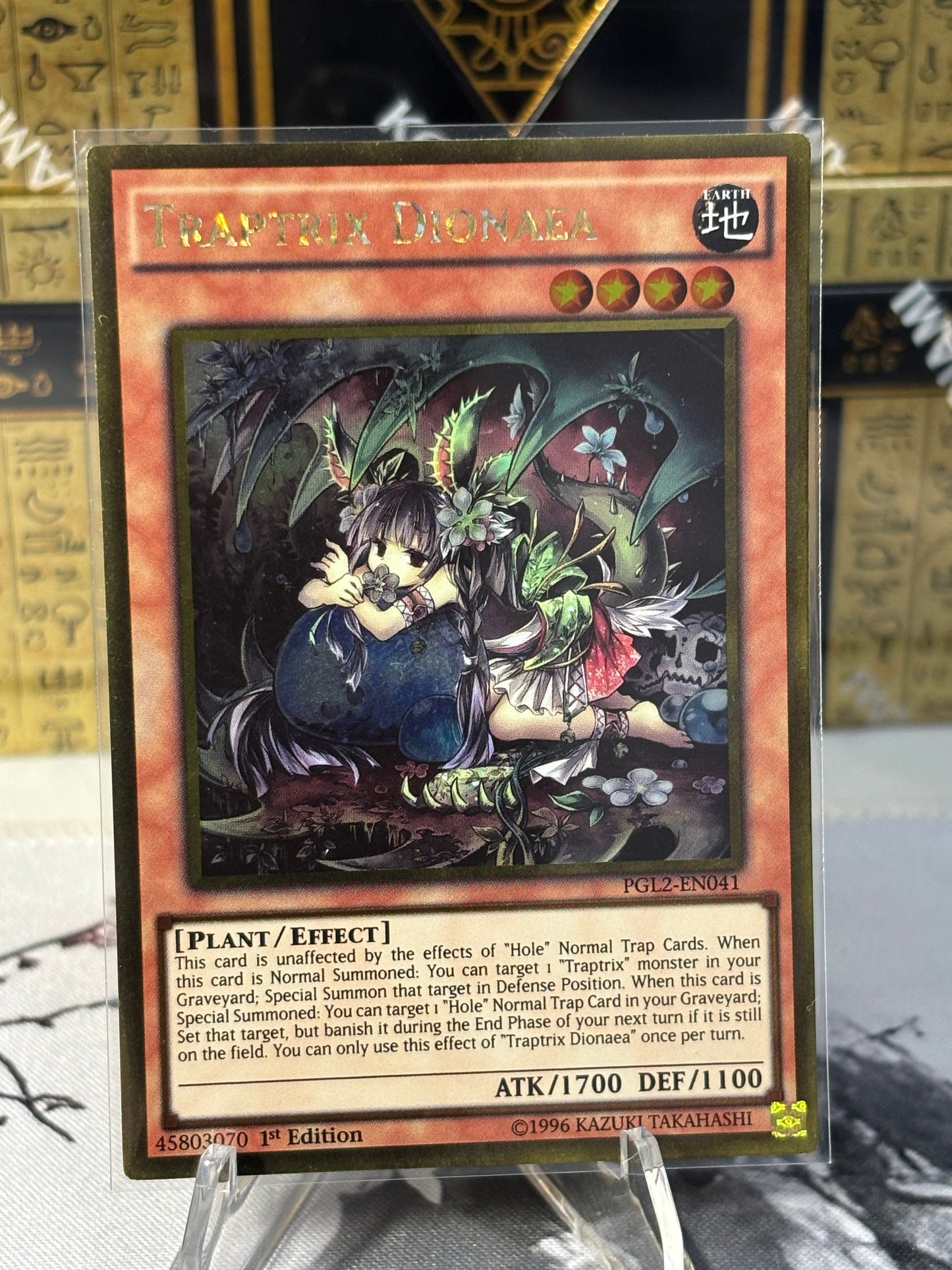 Traptrix Dionaea front view