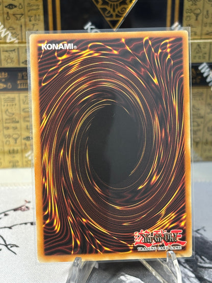 Traptrix Dionaea back view