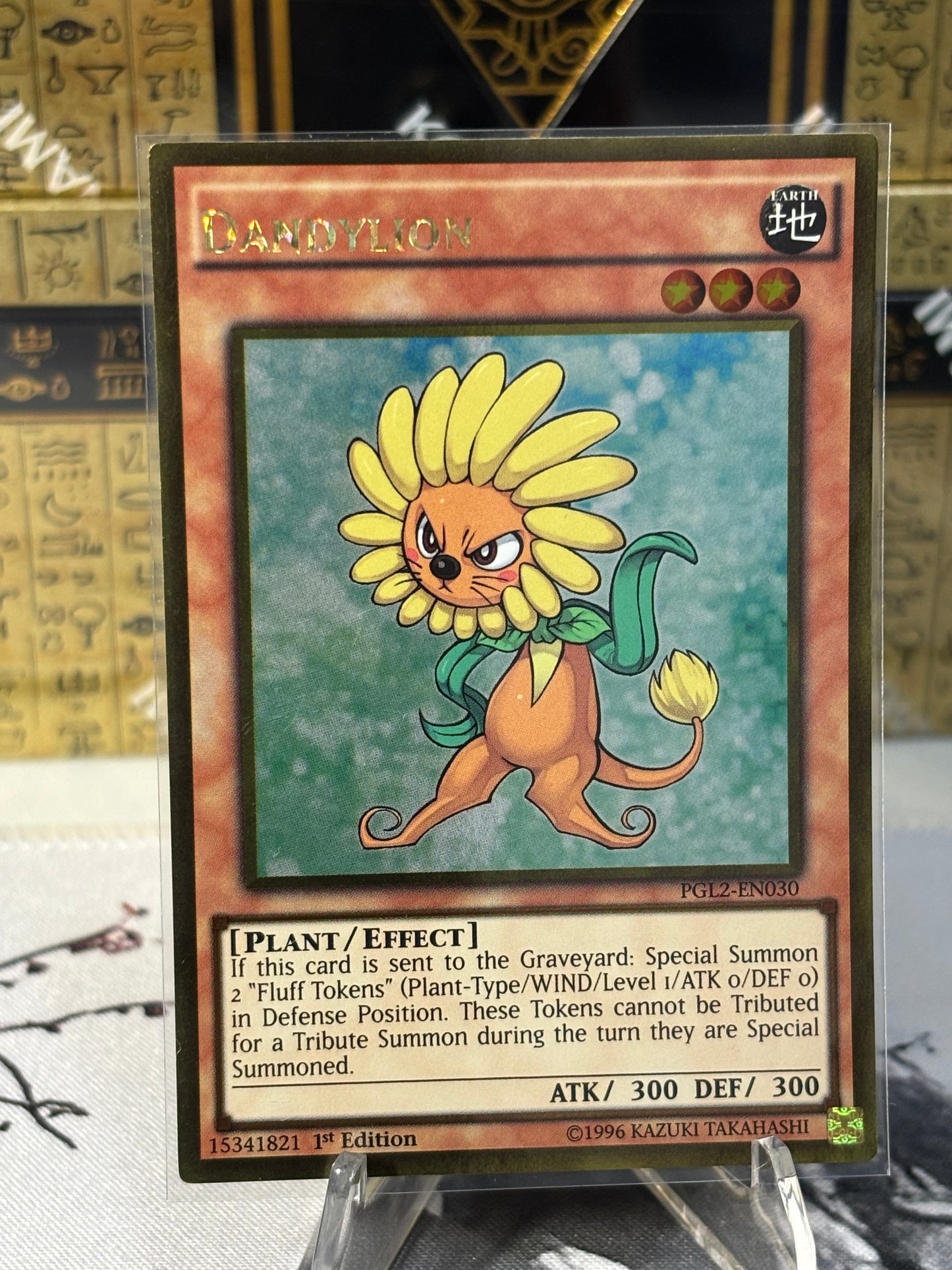 Dandylion front view