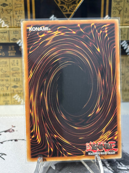 Saffira, Queen of Dragons back view