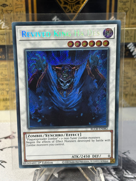 Revived King Ha Des front view