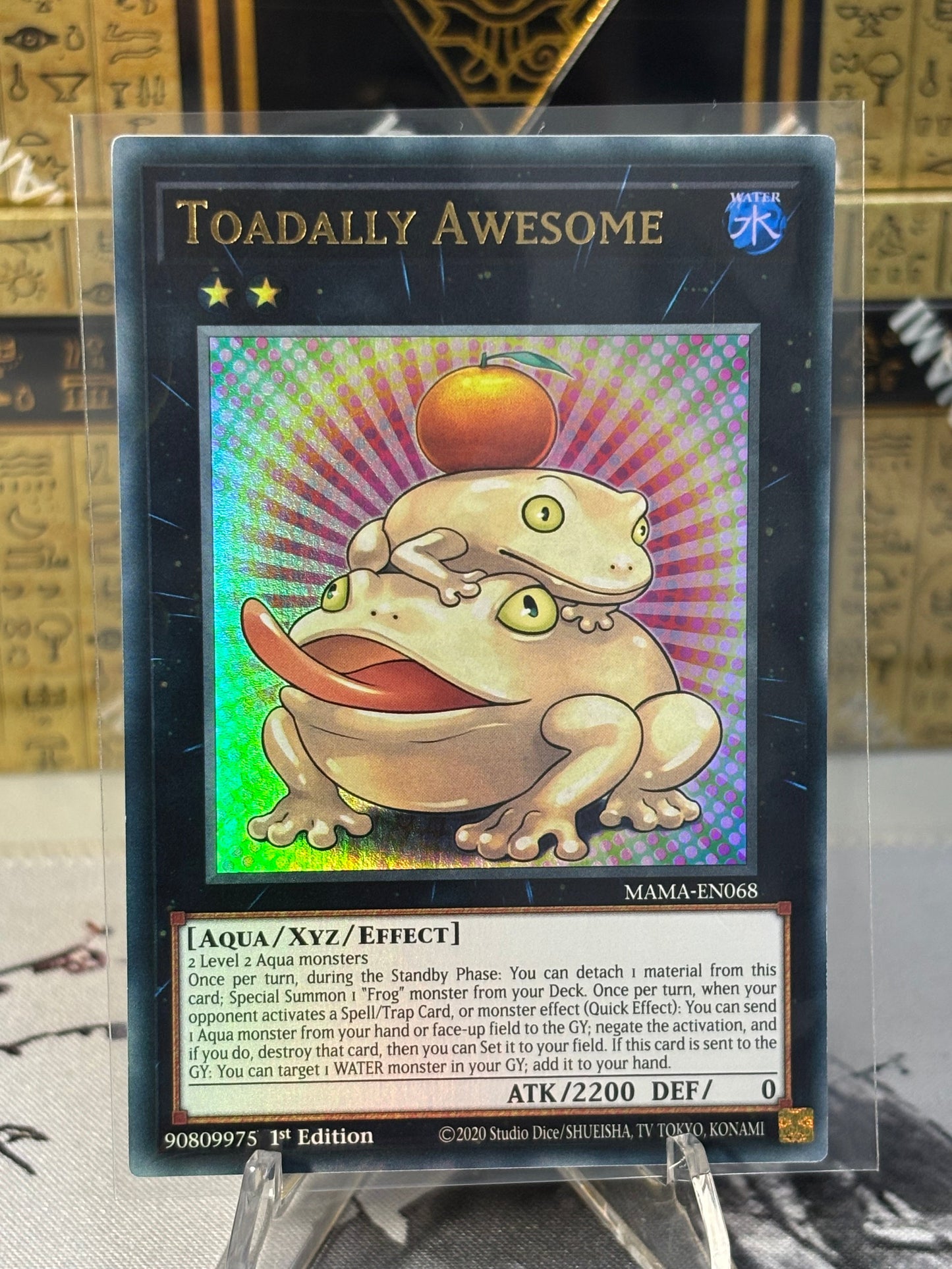 Toadally Awesome front view
