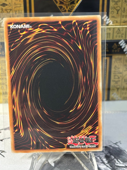 Toadally Awesome back view