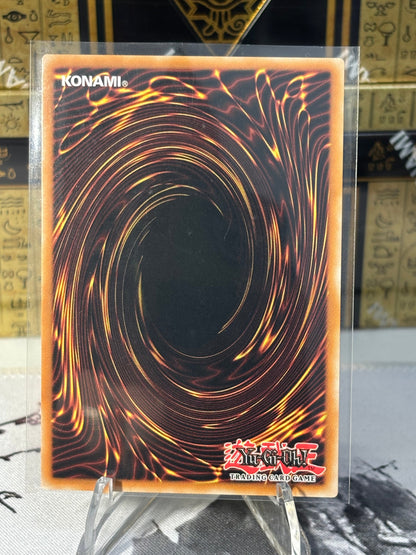 Shien's Dojo back view