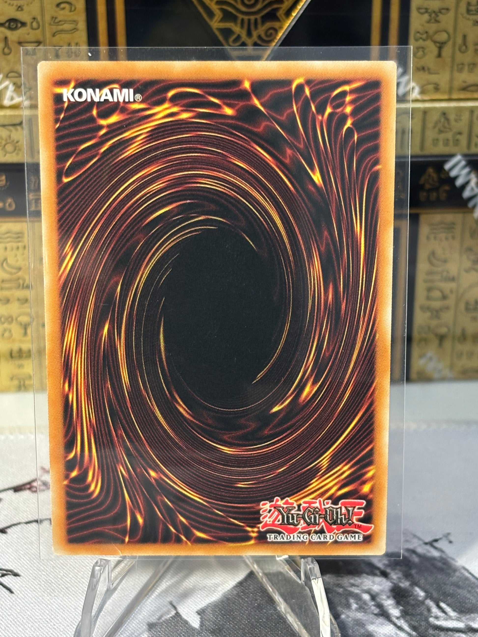 Halfway to Forever back view