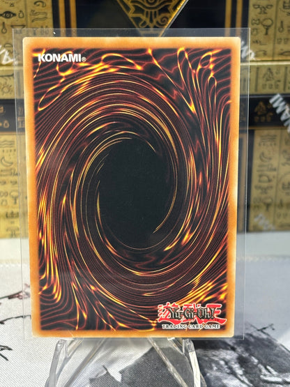 Halfway to Forever back view