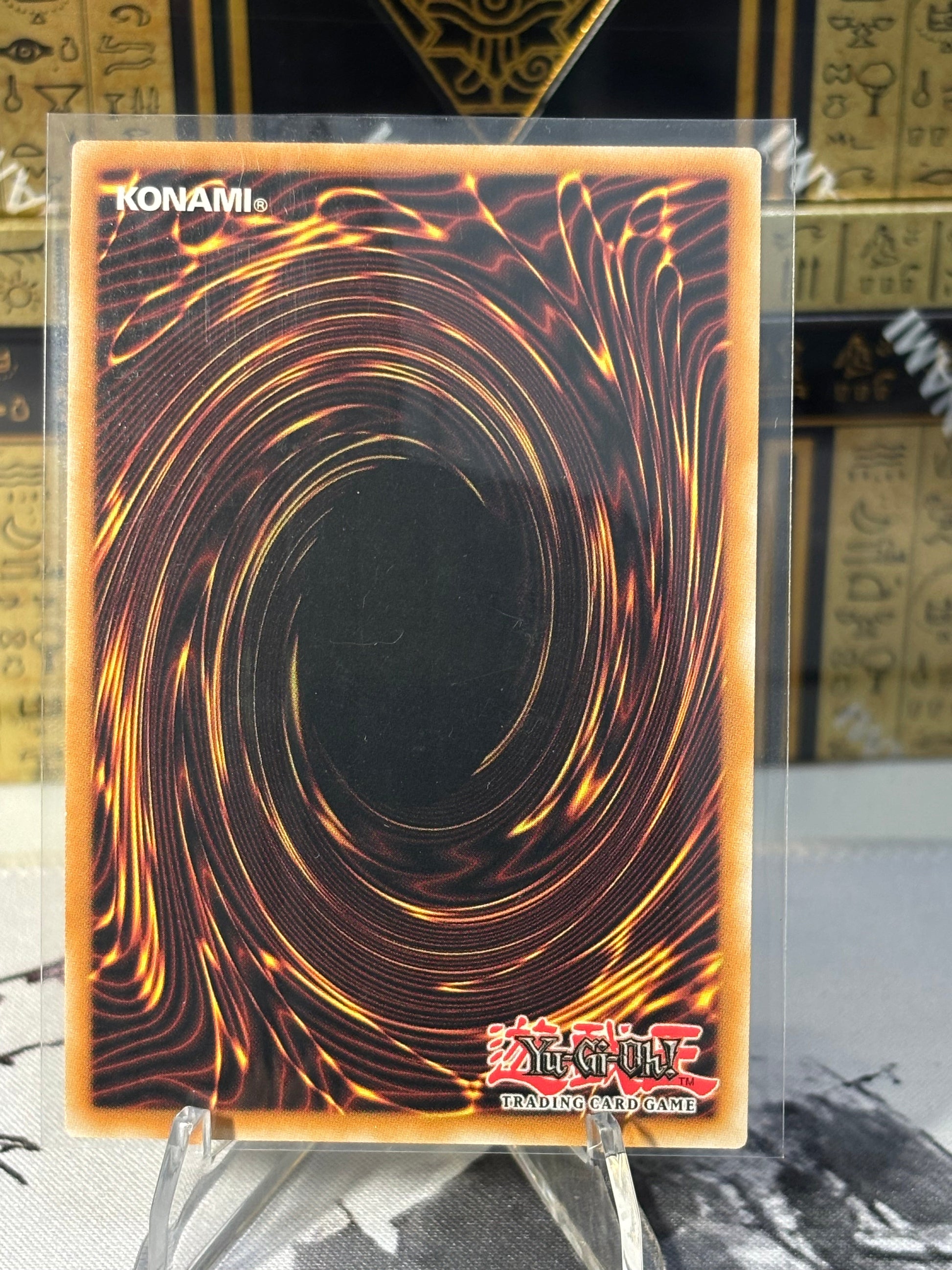 Night Beam back view