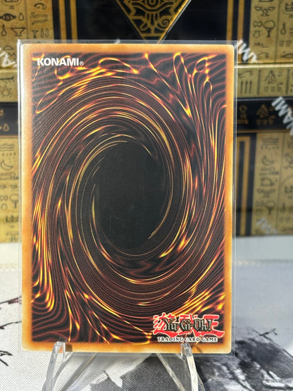 Virgil, Rock Star of the Burning Abyss back view