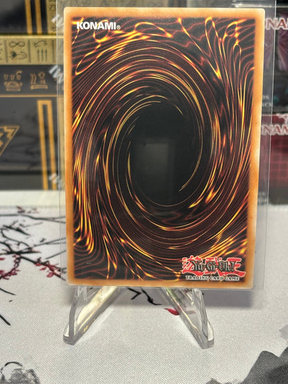 Grapha, Dragon Lord of Dark World back view