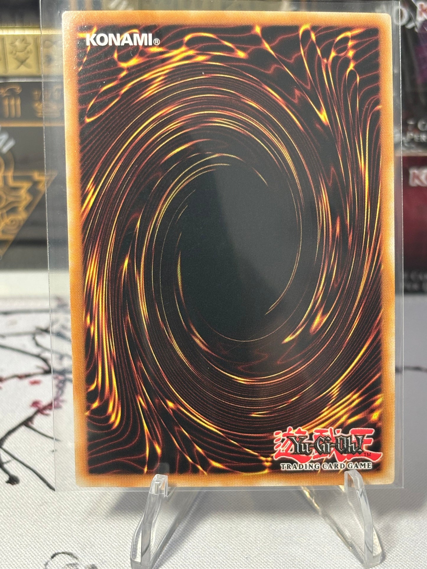 Light and Darkness Dragonlord back view