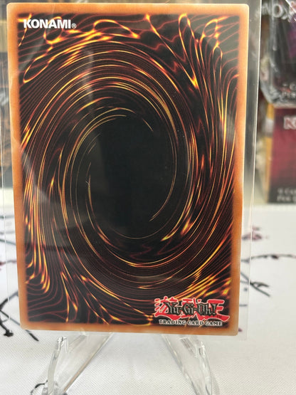 A Hero Lives back view