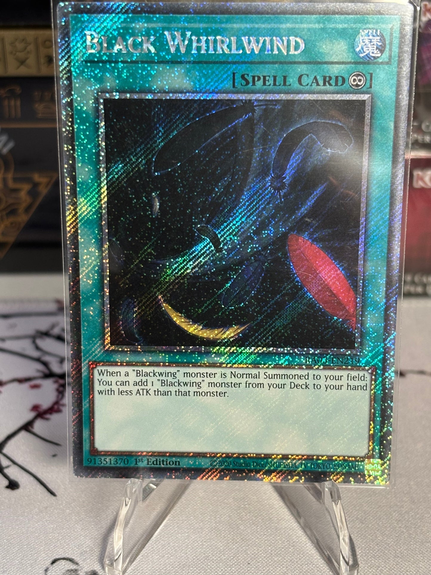 Black Whirlwind front view