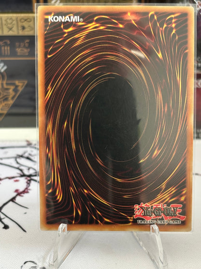 Black Whirlwind back view