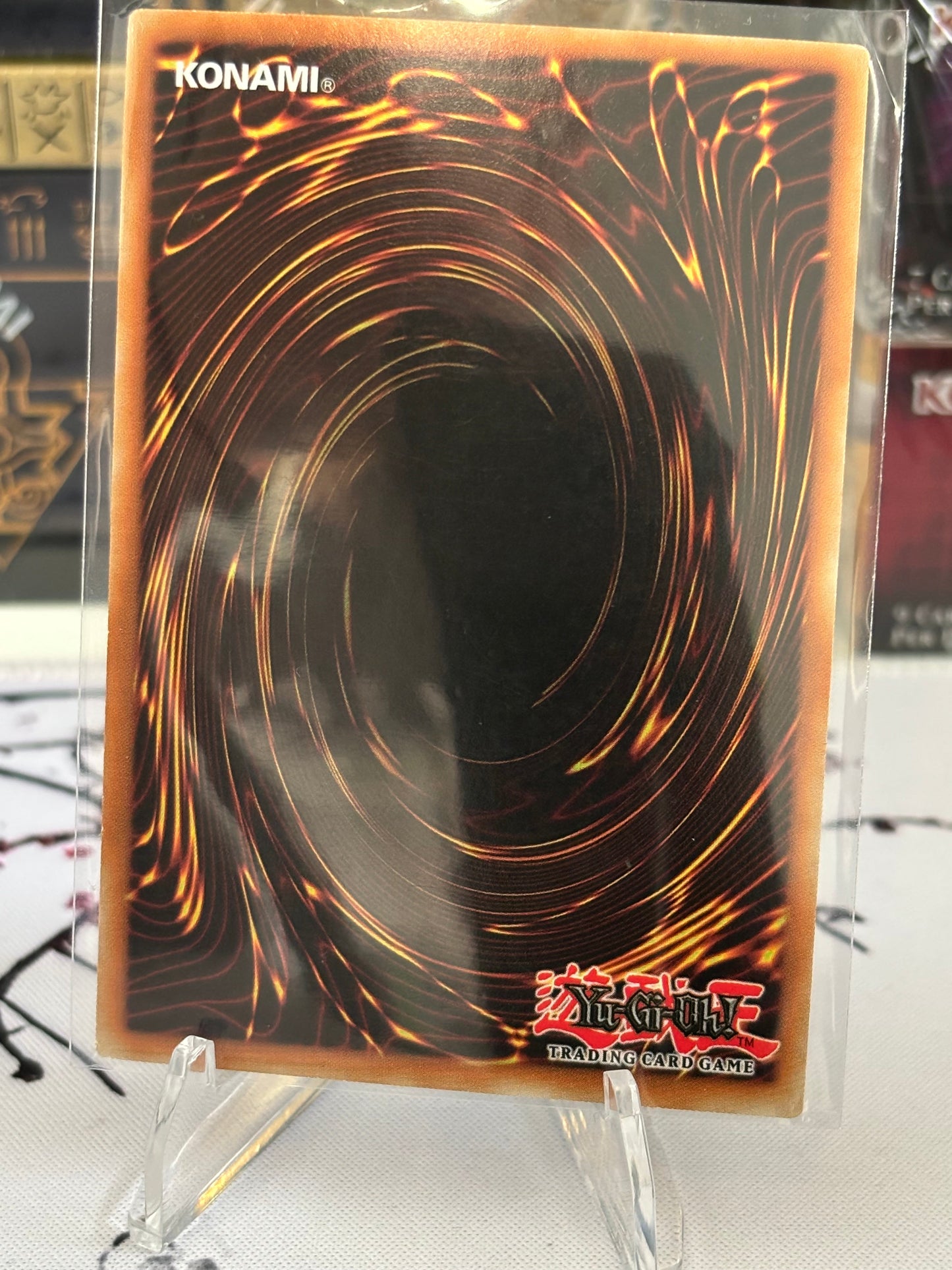 Charge of the Light Brigade back view