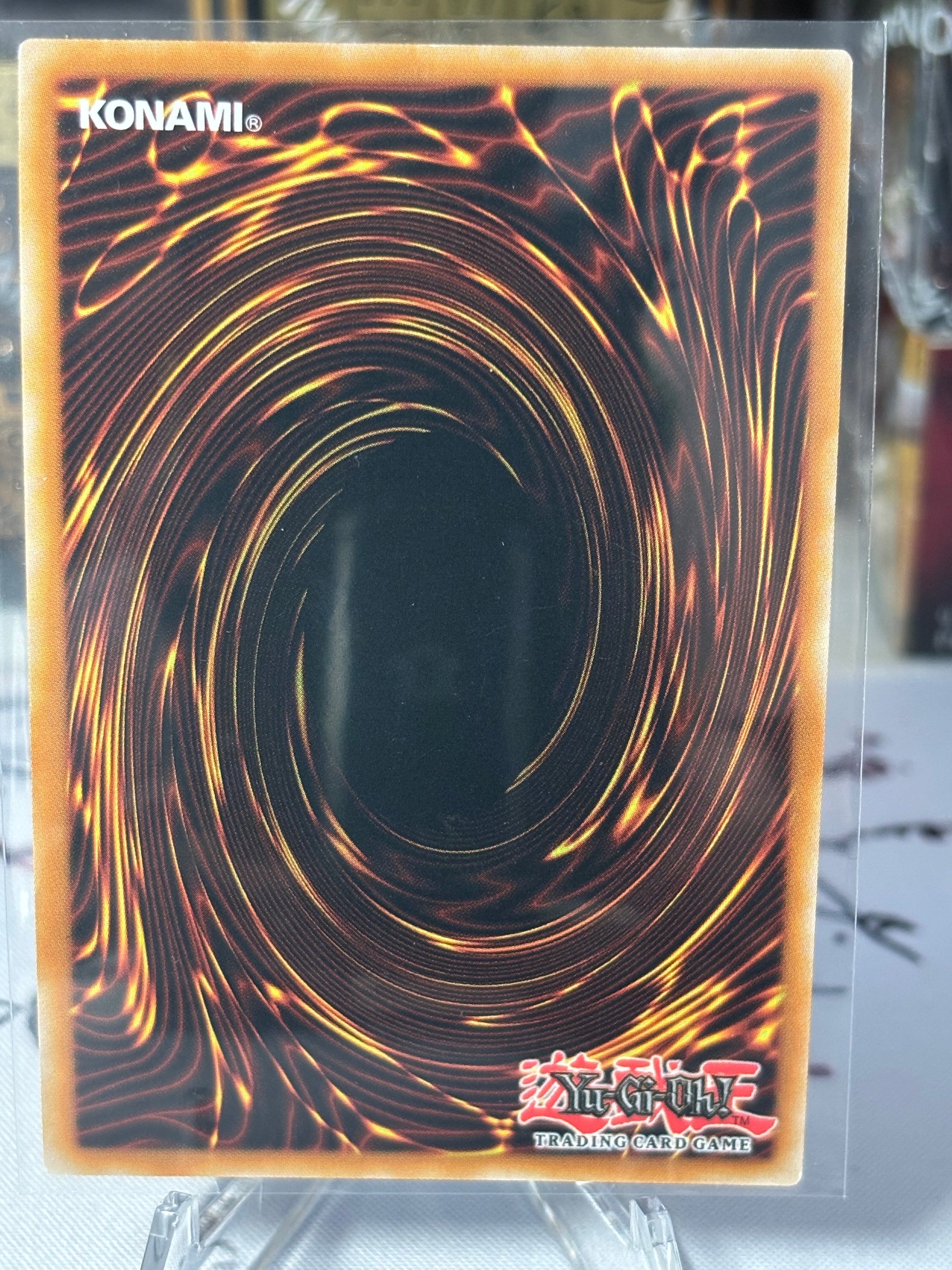 The Sacred Waters in the Sky back view