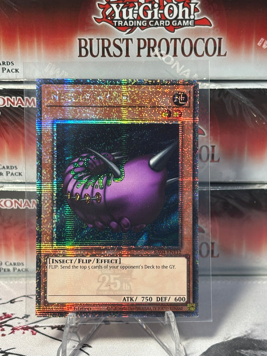 Needle Worm front view