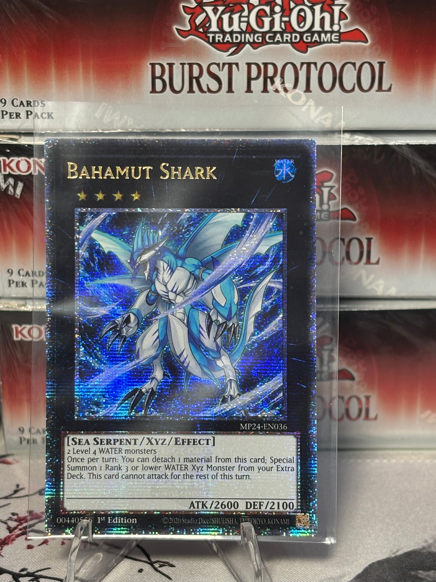 Bahamut Shark front view