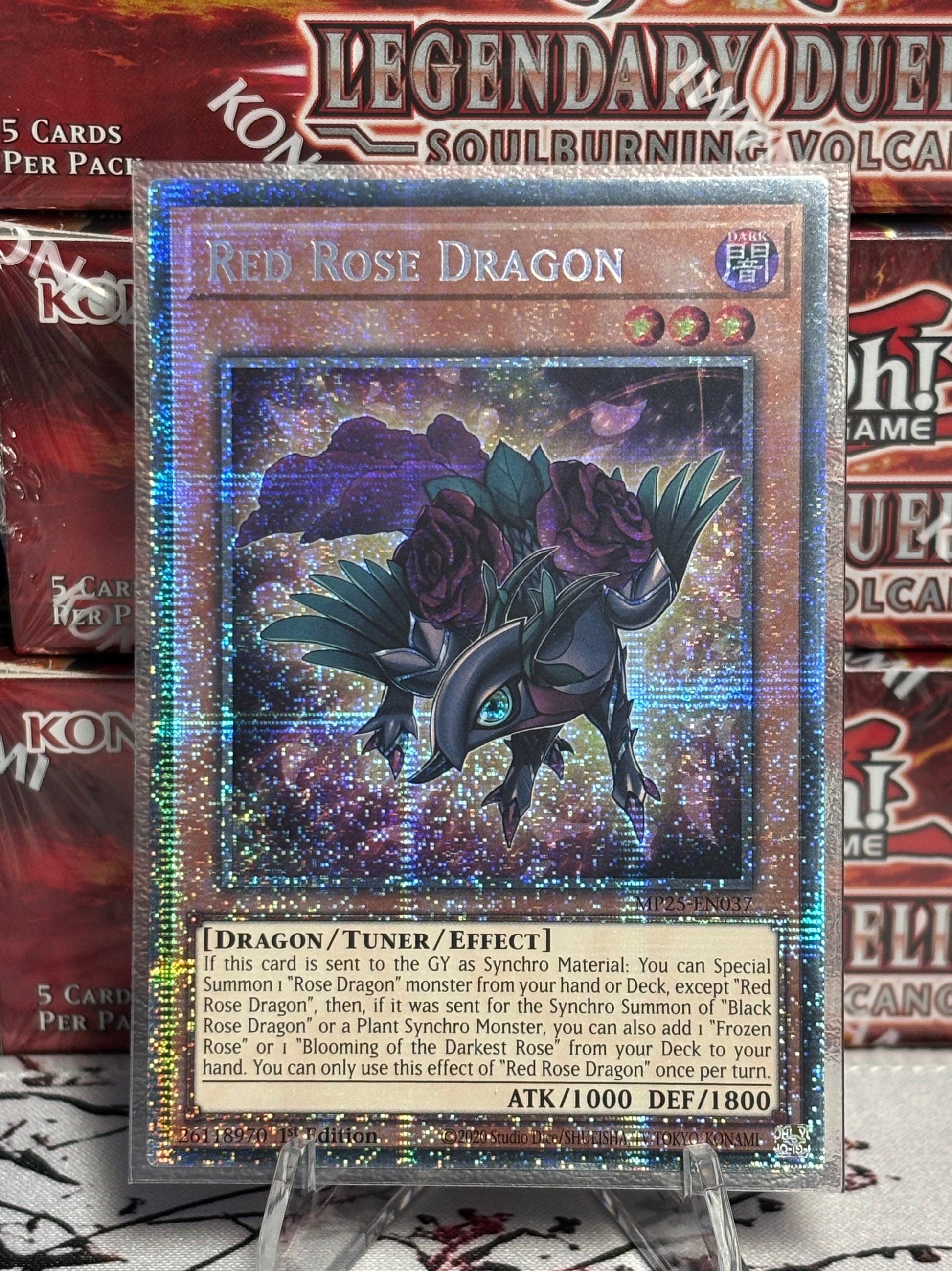 Red Rose Dragon front view