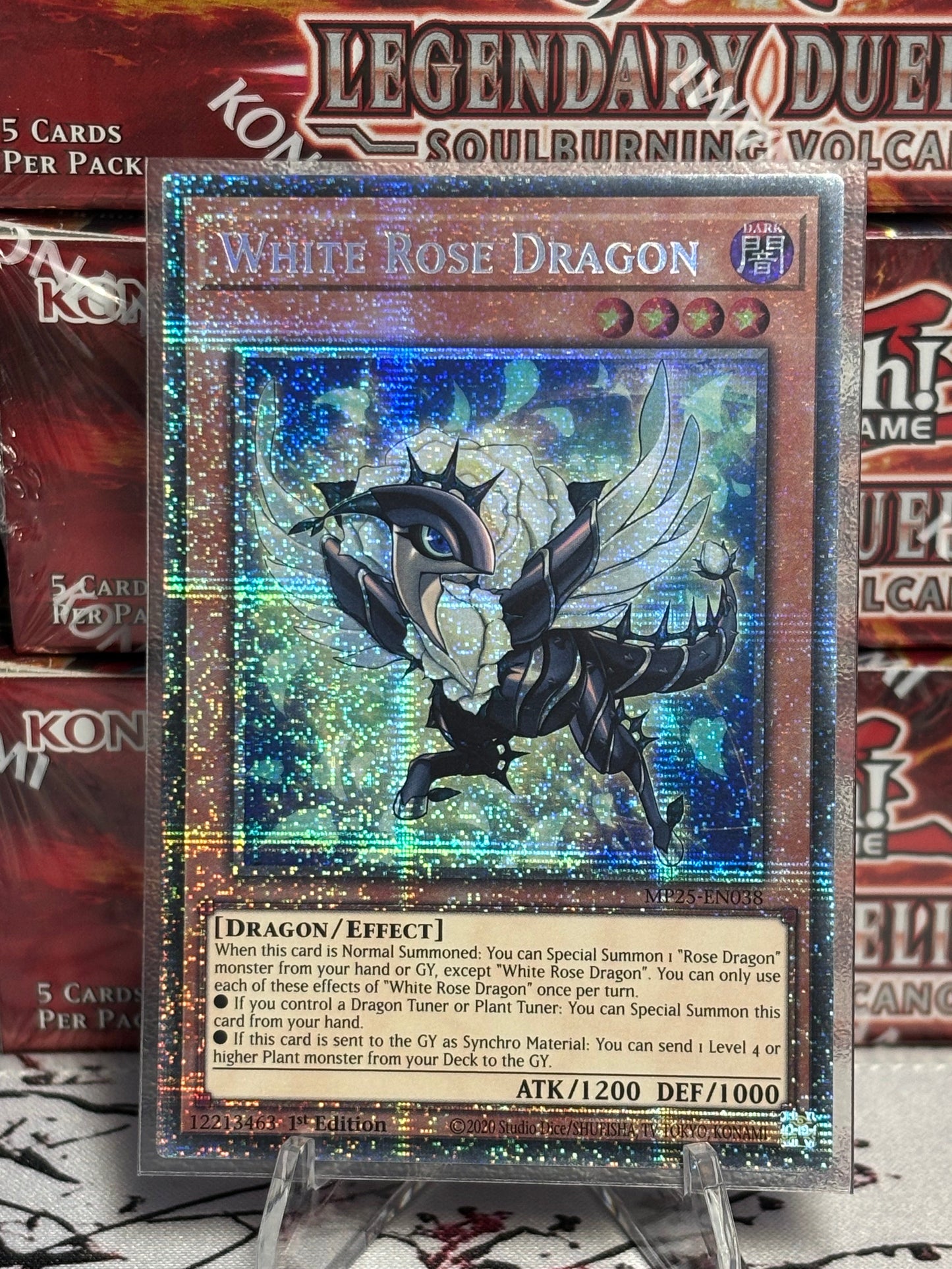 White Rose Dragon front view