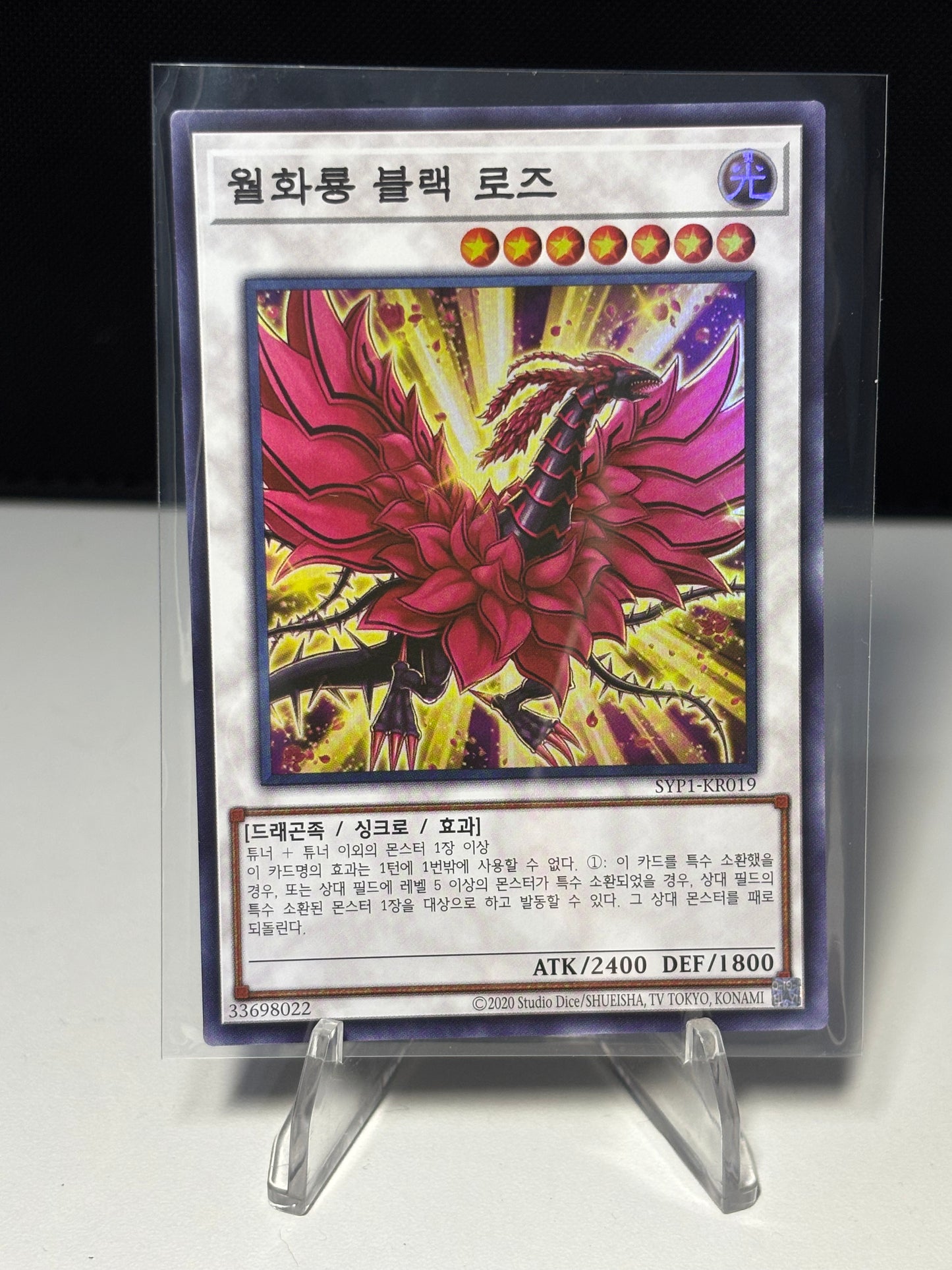 Black Rose Moonlight Dragon front view
