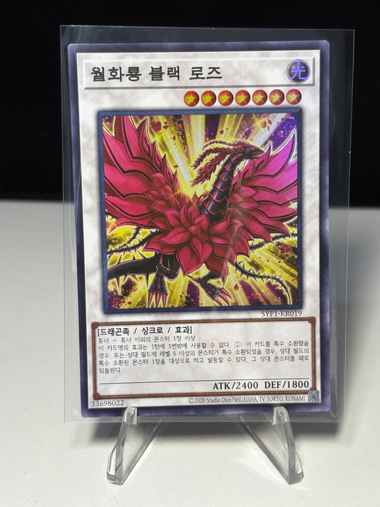 Black Rose Moonlight Dragon front view