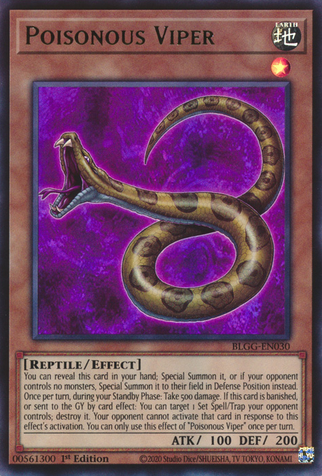 Poisonous Viper front view