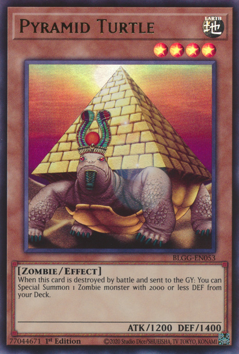 Pyramid Turtle front view