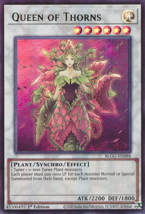 Queen of Thorns front view